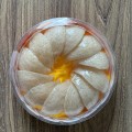 Tổ Yến Tinh Chế Định Hình A5 - Hộp 100g