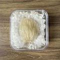 Tổ Yến Đơn - 1 Tổ 10g