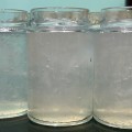 Yến Hủ Chưng Sẵn Nóng 20gr Yến Tươi - Hủ 200ml