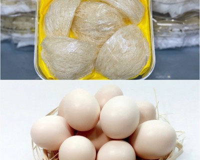 So Sánh Dinh Dưỡng Giữa 1 Quả Trứng Gà và 1 Tổ Yến 10g. Nên Lựa Chọn Sản Phẩm Nào?