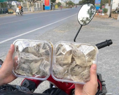 Các Vùng Nuôi Tổ Yến Tại Tỉnh Tiền Giang - Nhà Yến Tiền Giang